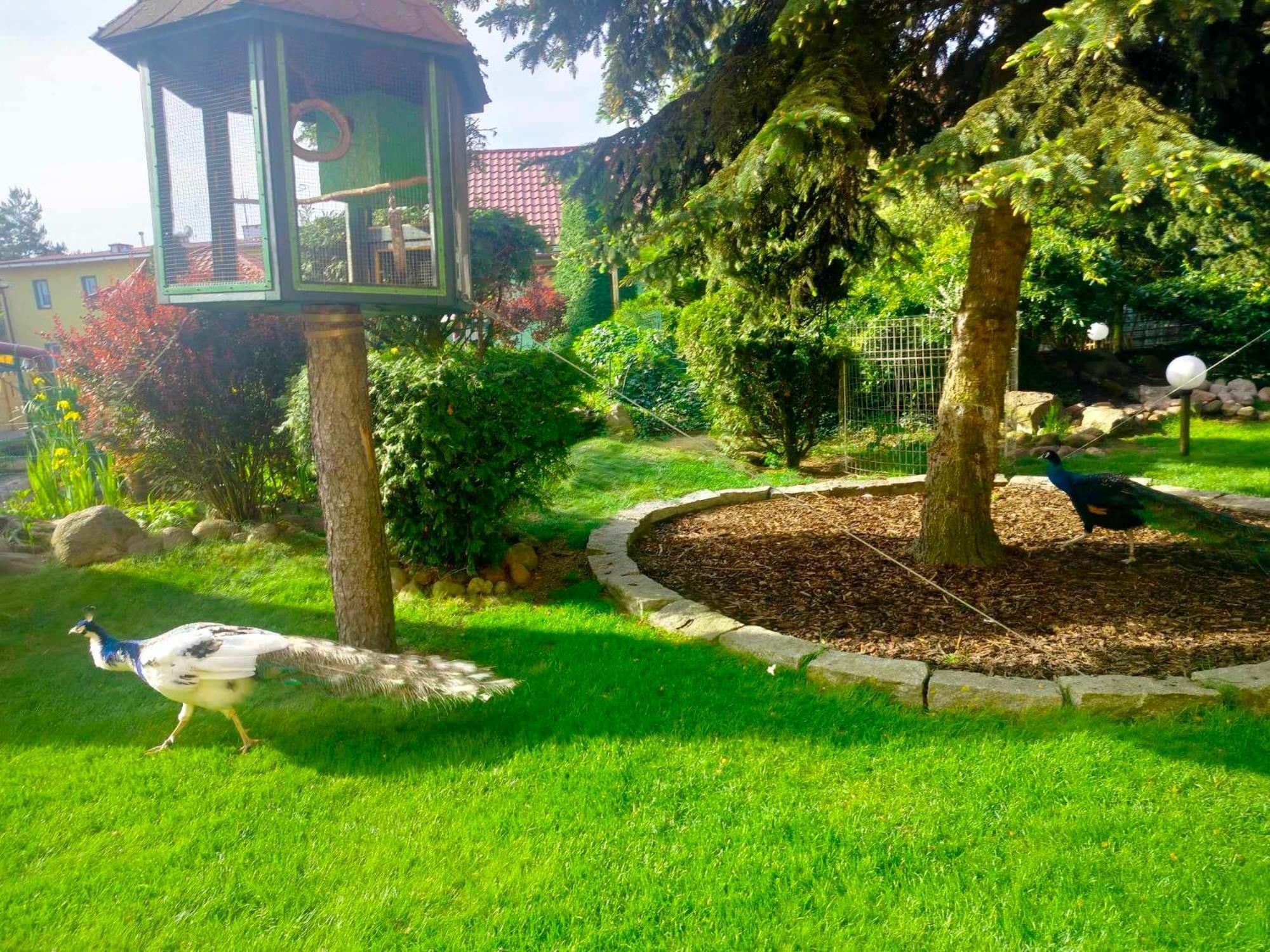 Noclegi I Restauracja Gracja Bełchatów Buitenkant foto